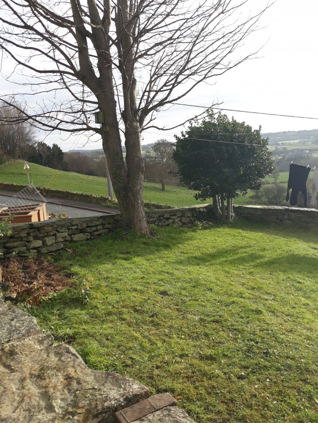 The Pinfold